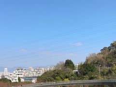 -福道