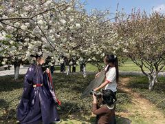 -明故宫遗址公园