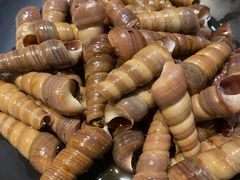 锥螺-王老大烤串