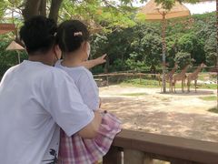 -深圳野生动物园