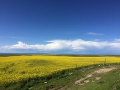 -青海湖国家重点风景名胜区