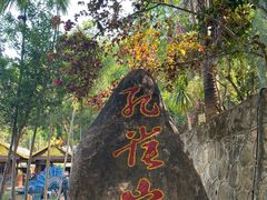 -西双版纳原始森林公园
