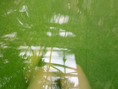 -仁爱团泊湖温泉中心