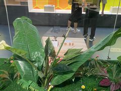 -广东中医药博物馆