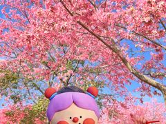 -风云岭森林公园