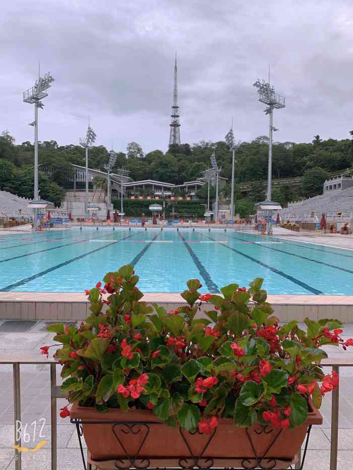 直走就到了,越秀公园作为广州一个有悠久历史的公园,体育场,游泳场都