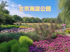 -海淀公园