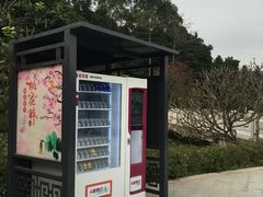 -南国桃园旅游度假区