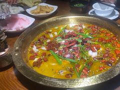 -云鱿记鱿鱼鸡·野生菌火锅(人民南路店)