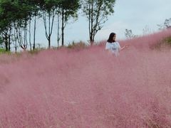 -黄龙溪欢乐田园