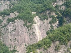 -朱雀国家森林公园