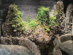 -中原麦购时代广场(南市店)