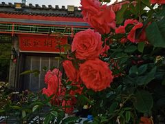 -张记焖窑·十五年专注焖烤(雍和宫店)