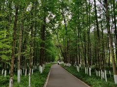 -桤木河湿地公园