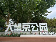 -大望京公园