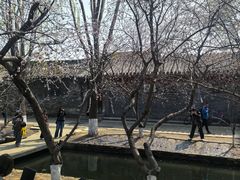 -春风习习