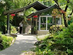 -西岭雪山大飞水景区