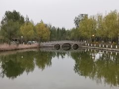 -伊犁河风景区