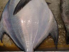iphone_upload_pic-沈家门海鲜夜排档(东港店)