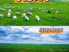 -呼伦贝尔大草原