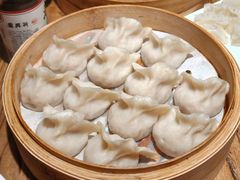 新兴园招牌风味蒸饺-新兴园饺子馆(河南街店)
