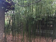 -老张烤羊(王哥庄店)