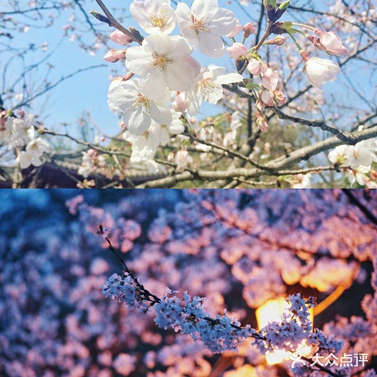 🔥南京6个超灵的祈福寺庙，求姻缘财运必备