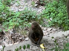 -北京上方山国家森林公园