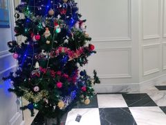 -宝燕壹号(长寿店)