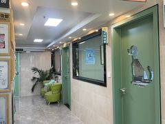 -半岛宠物医院24小时·内窥镜·牙科·碎石中心(府城大道店)