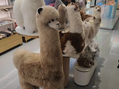 -国药中服免税(北京坊店)