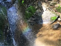 -藏龙百瀑风景区