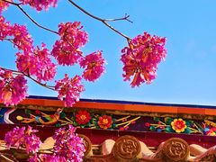 -天竺岩寺