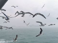 -海驴岛(荣成市)