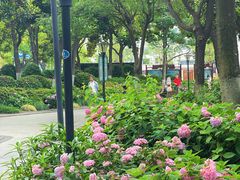 -常州古运河南大街文化旅游区-人民公园