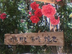 -辛庄国际文化艺术区