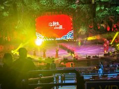 -广州长隆国际大马戏