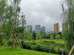 -沐仙湖湿地公园
