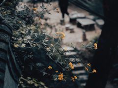 -终南山南五台景区