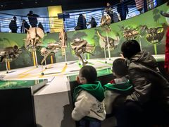 -国家自然博物馆