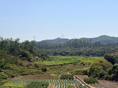 -凤岗南门山森林公园
