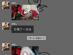 -伟伟宠物医院·CT影像中心·瑞派犬猫综合性门诊(汉口总院)