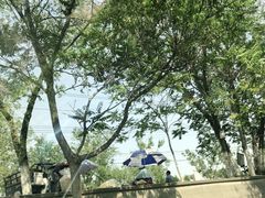 -绿堤公园