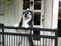 -TrueLove @ Neverland (Husky Cafe)