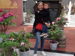 iphone_upload_pic-曹州牡丹园