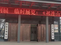 -张掖市博物馆
