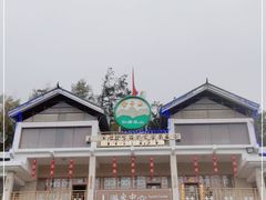-金子山原生态旅游风景区