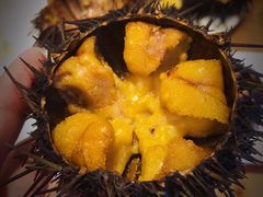 -海胆小馆(东北水饺·春柳店)