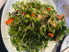 -华盛园卷子王农家菜水库鱼