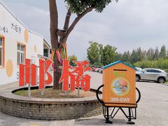 -前小桔亲子创意农场·草莓采摘·露营烧烤